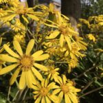 乾燥にご注意を