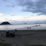 インフルエンザ流行